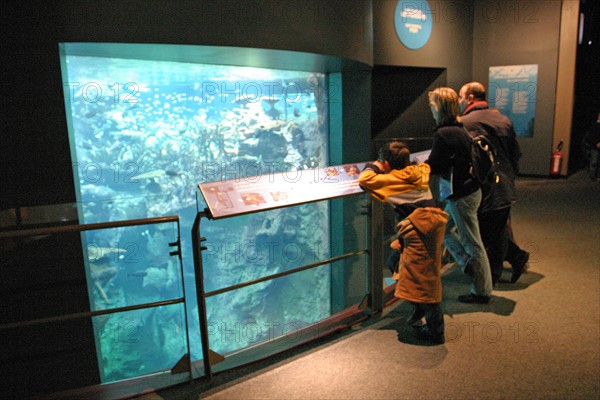 France, Basse Normandie, Manche, Cotentin, Cherbourg, Cite de la Mer
aquarium recreant la faune d'une faille tropicale, public famillial,