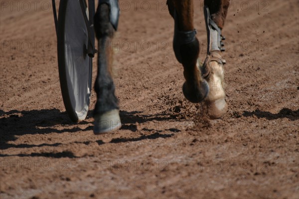 France, Basse Normandie, Manche, Cotentin, Cherbourg, hippodrome de la glacerie, courses de trot, hippisme, cheval trotteur, sulky, driver, detail piste,