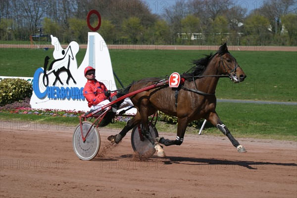 France, Basse Normandie, Manche, Cotentin, Cherbourg, hippodrome de la glacerie, courses de trot, hippisme, cheval trotteur, sulky, driver,