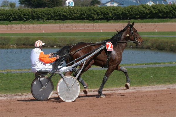 France, Basse Normandie, Manche, Cotentin, Cherbourg, hippodrome de la glacerie, courses de trot, hippisme, cheval trotteur, sulky, driver,