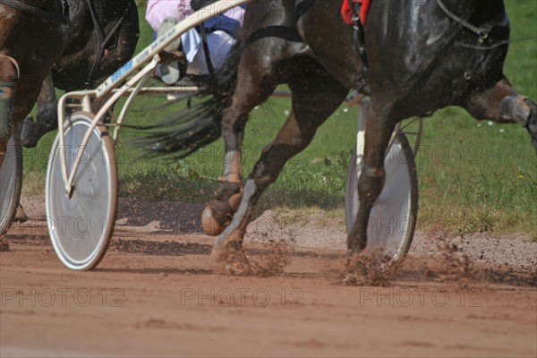 France, Basse Normandie, Manche, Cotentin, Cherbourg, hippodrome de la glacerie, courses de trot, hippisme, cheval trotteur, sulky, driver, detail piste,