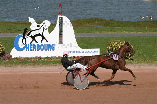 France, Basse Normandie, Manche, Cotentin, Cherbourg, hippodrome de la glacerie, courses de trot, hippisme, cheval trotteur, sulky, driver,