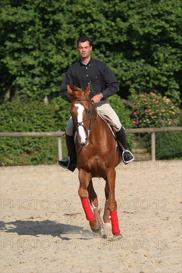 France, Basse Normandie, Manche, pays de saint lo, florian angot, cavalier international, selectionne olympique 2004, first de launay, etalon du haras national de saint lo, cheval, hippisme, selle francais,