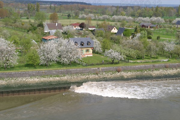 France, Haute Normandie, Seine Maritime, vallee de la Seine, jumieges, paysage, pommiers, vague laissee par un cargo sur le fleuve, berge,