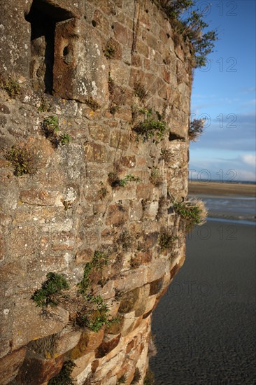 France, Basse Normandie, Manche, pays de la baie du Mont-Saint-Michel, le Mont-Saint-Michel, remparts, maree basse,