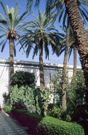 Afrique, maroc, marrakech, jardin, 
palais de la Bahia, oasis, fontaine, palmiers,