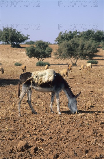 africa, village