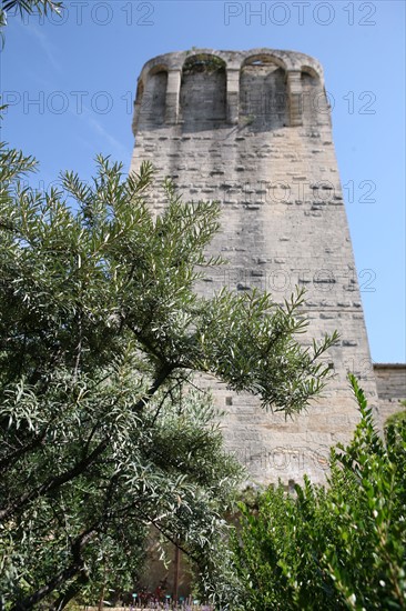 France, languedoc roussillon, gard, uzes, jardin medieval, tour, donjon,