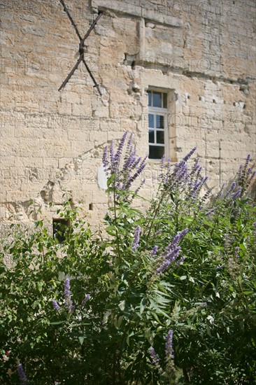 France, languedoc roussillon, gard, uzes, jardin medieval, chateau, fortification,