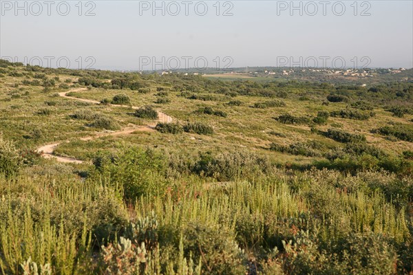 France, languedoc roussillon, gard, chemin de grande randonnee, au dessus des gorges du Gardon GR 6, entre Sanilhac sagries et Collias, garrigue, arbres, panorama,