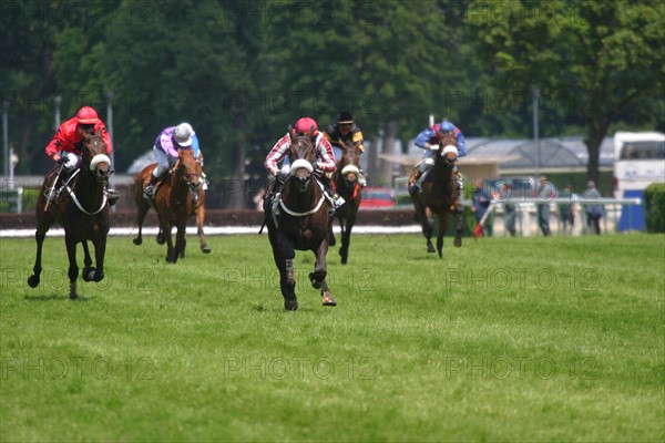 France, ile de france, paris 16e, hippodrome d'auteuil, course d'obstacles, gras savoye grand steeple-chase de paris 2004, jockey, cheval, prix, pur sang, cheval, hippisme, turf,