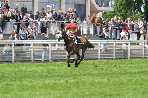 France, ile de france, paris 16e, hippodrome d'auteuil, course d'obstacles, gras savoye grand steeple-chase de paris 2004, jockey, cheval, prix, pur sang, cheval, hippisme, turf,