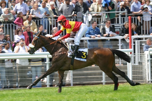 France, auteuil racecourse