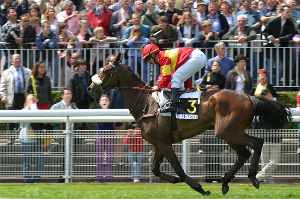 France, ile de france, paris 16e, hippodrome d'auteuil, course d'obstacles, gras savoye grand steeple-chase de paris 2004, jockey, cheval, prix, pur sang, cheval, hippisme, turf,