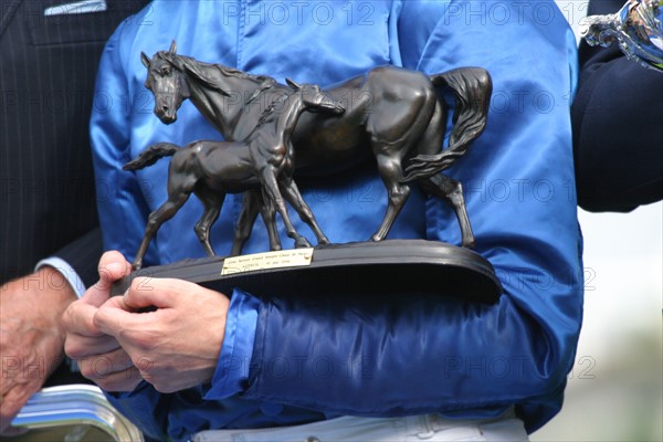 France, ile de france, paris 16e, hippodrome d'auteuil, course d'obstacles, gras savoye grand steeple-chase de paris 2004, jockey, cheval, prix, pur sang, cheval, hippisme, turf,