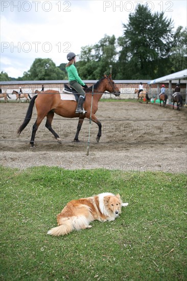 France, picardie, somme, beauchamp, frontiere avec la Normandie, pays de la bresle maritime, centre equestre du lieu dieu, sport equestre, equitation, loisirs, cheval, cavalier,