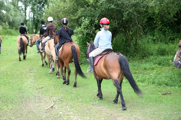 France, picardie, somme, beauchamp, frontiere avec la Normandie, pays de la bresle maritime, centre equestre du lieu dieu, sport equestre, equitation, loisirs, cheval, cavalier,