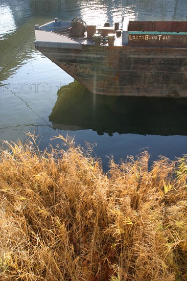 France, l'ile seguin