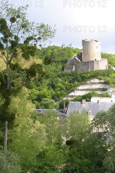 France, ile de france, val d'oise, la roche guyon, la seine, chateau, monument historique, architecture defensive, donjon, berges du fleuve