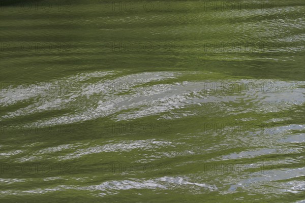 France, ile de france, val d'oise, la roche guyon, la seine, onde qu'un bateau fluvial laisse sur le fleuve, eau, mouvement, vague,