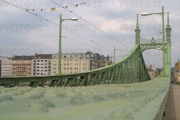 europe, Hongrie, budapest, sur le danube, pont de la liberte, szabadsag hid, structure metallique, immeubles sur les quais,