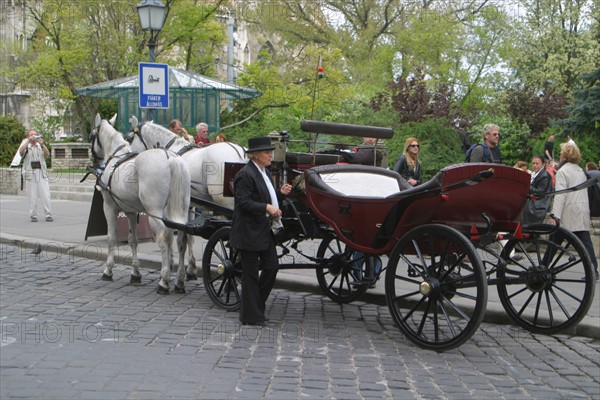 europe, horse-drawn carriages near the castle