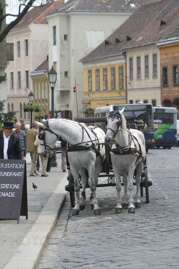 europe, horse-drawn carriages near the castle