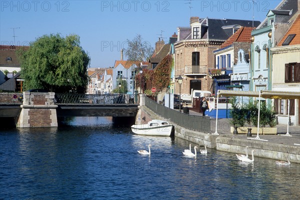 France, picardie, somme, amiens, centre ville, riviere, pont, maisons, cygnes,