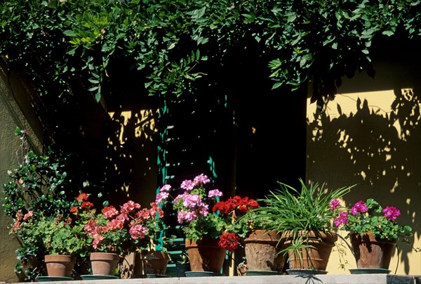 Italie, toscane, florence, firenze, fiesole, balcon, terrasse, pots de fleurs, decoration, jardin,