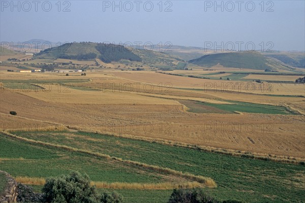 Italie, sardaigne, barumini, paysage, champs, agriculture, vue d'ensemble, monts,