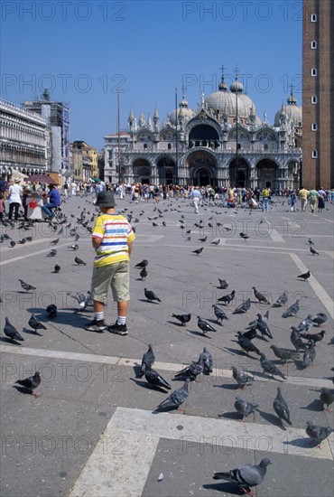 Italie, venise, place san marco, saint marc, pigeons, touristes, basilique san marco, edifice religieux, campanile,