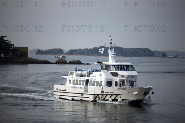 france, Bretagne, Morbihan, golfe du Morbihan, sene, port anna, bateaux, vedette de liaison avec l' ile d'arz, sterne, promenade,