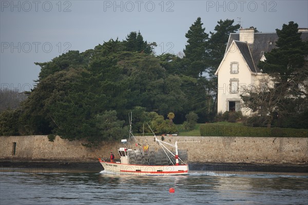 france, Bretagne, Morbihan, golfe du Morbihan, sene, port anna, bateaux, barques, peche, mouillage, coque, caseyeur,