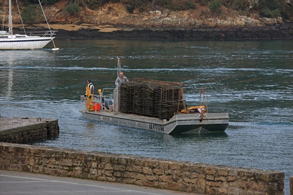 france, Bretagne, Morbihan, golfe du Morbihan, sene, port anna, bateaux, barques, peche, mouillage, coque, barge, ostreiculteurs,