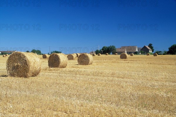 France, region pays de loire, sarthe, sud, agriculture, champ, paille, roundballers, ferme,