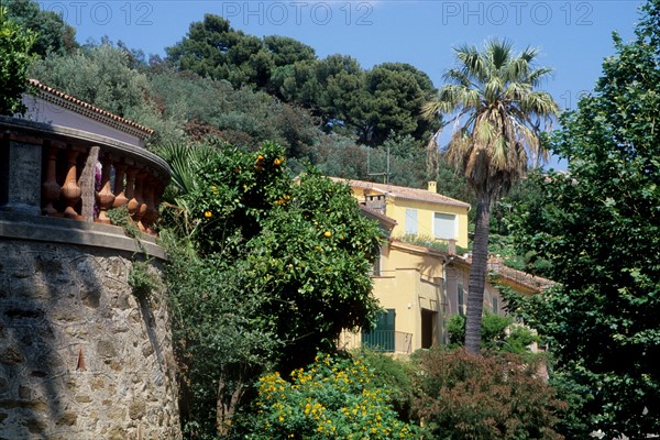 France, region paca, var, village de bormes les mimosas, maisons, tuiles, route, palmiers,