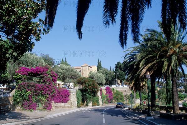 France, region paca, var, village de bormes les mimosas, maisons, tuiles, route,