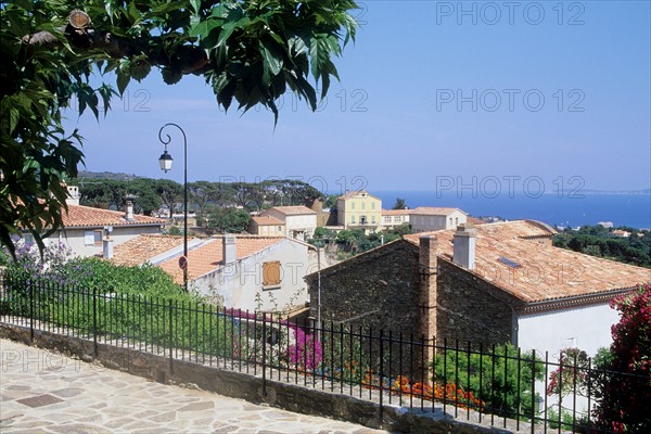 France, village of bormes les mimosas