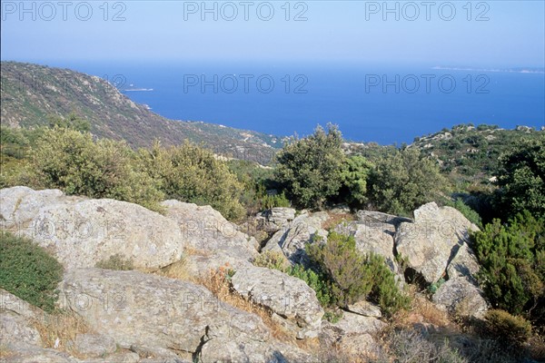 France, region paca, var, route des cretes, massif des maures, cap, rochers, garrigue,