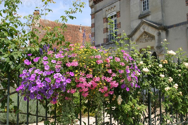 France, region ile de france, seine et marne, provins, cite medievale, maison, fleurs,