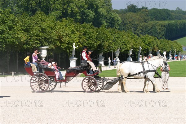 France, region ile de france, yvelines, versailles, parc du chateau, caleche, promenade, touristes, chevaux, grandes eaux de versailles, spectacle, fontaines, jets d'eau, sculpture, statues, jets d'eau,