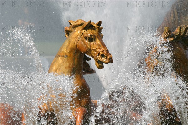 France, region ile de france, yvelines, versailles, parc du chateau, grandes eaux de versailles, spectacle, fontaines, jets d'eau, sculpture, statues, jets d'eau,