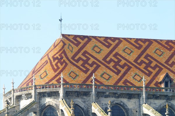 France, region ile de france, yvelines, mantes la jolie, seine, collegiale notre dame, chevet, toiture, tuiles vernissees,