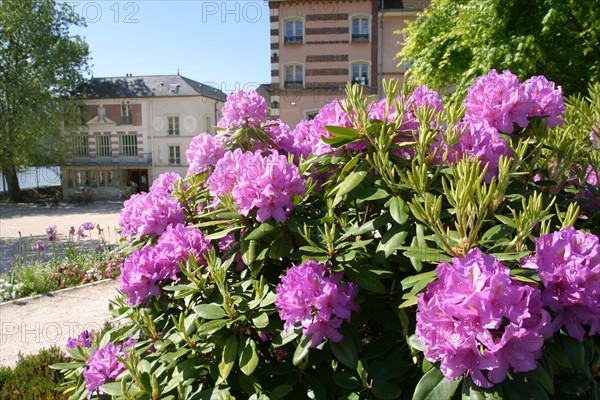 France, region ile de france, yvelines, chatou, l'ile aux impressionnistes, artistes, peinture, seine, village, maison fournaise, restaurant, musee, jardin, fleurs, rhododendrons,