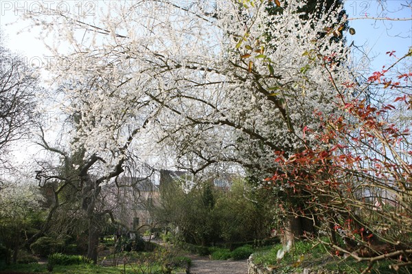 France, Haute Normandie, eure, vallee de la seine, giverny, ancien hotel baudy, restaurant, auberge, claude monet, jardin, fleurs, impressionnistes, peinture, jardin,