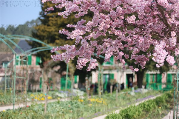 France, Haute Normandie, eure, vallee de la seine, giverny, maison de claude monet, jardin, fleurs, impressionnistes, peinture, chef jardinier gilbert vahe,