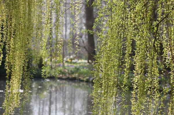 France, Haute Normandie, eure, vallee de la seine, giverny, maison de claude monet, jardin, fleurs, impressionnistes, peinture, jardin d'eau, etang,