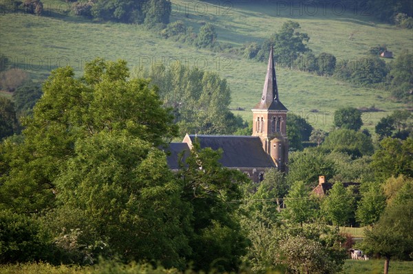 France, Basse Normandie, calvados, pays d'auge, pays de cambremer, route du cidre, rumesnil, paysage, clocher, eglise, champ, pommiers,