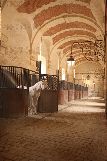 France, ile de france, yvelines, versailles, chateau de versailles, grandes ecuries, academie du spectacle equestre,