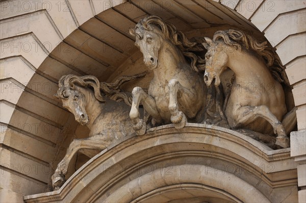 France, ile de france, yvelines, versailles, chateau de versailles, grandes ecuries, academie du spectacle equestre, detail portail,